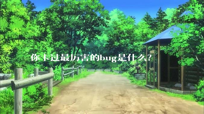 你卡过最厉害的bug是什么？