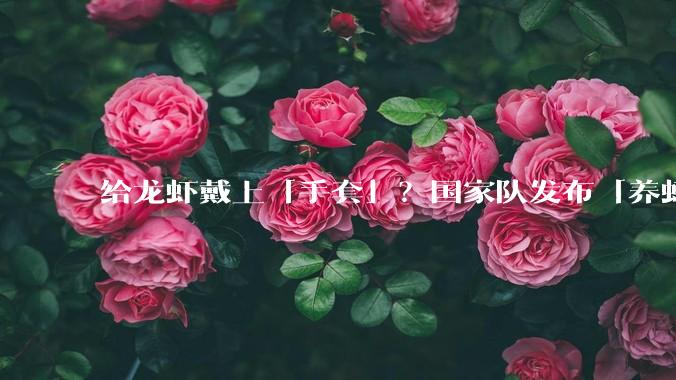给龙虾戴上「手套」？国家队发布「养虾」指南，这五条底线不能碰！_OpenClaw_权限_风险