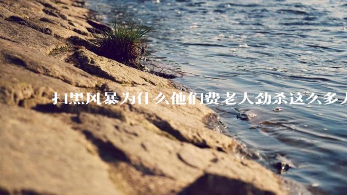 扫黑风暴为什么他们费老大劲杀这么多人不如直接把督导组干掉？