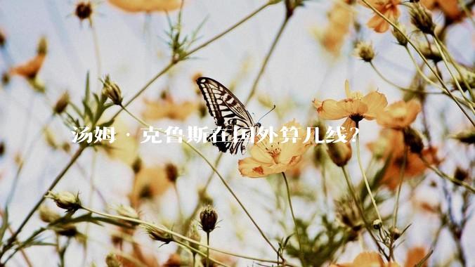 汤姆·克鲁斯在国外算几线？
