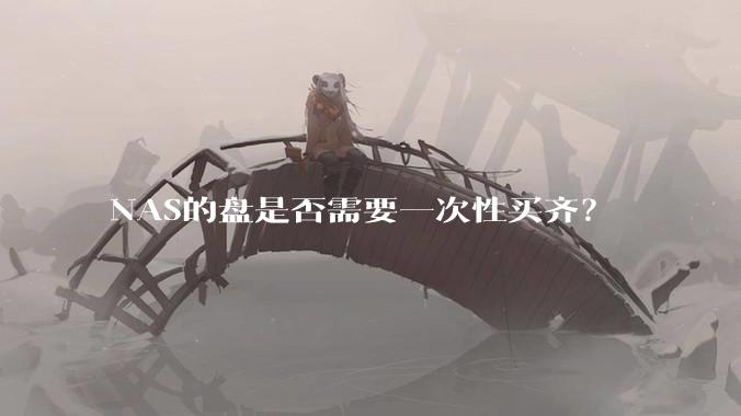 NAS的盘是否需要一次性买齐？